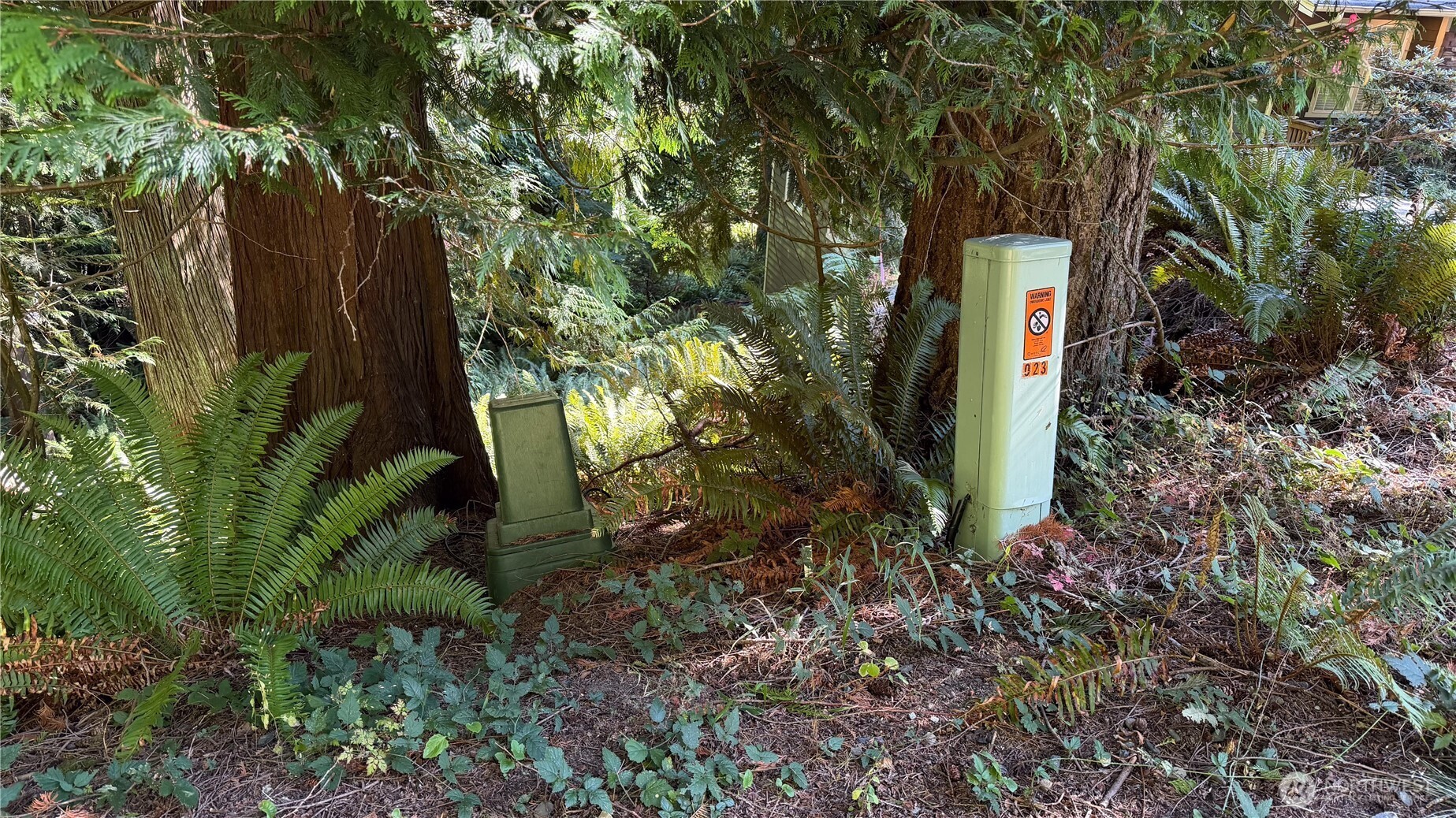 19 Valley Crest Way Bellingham, WA 98229 - Photo 8 of 13 a green field with lots of trees