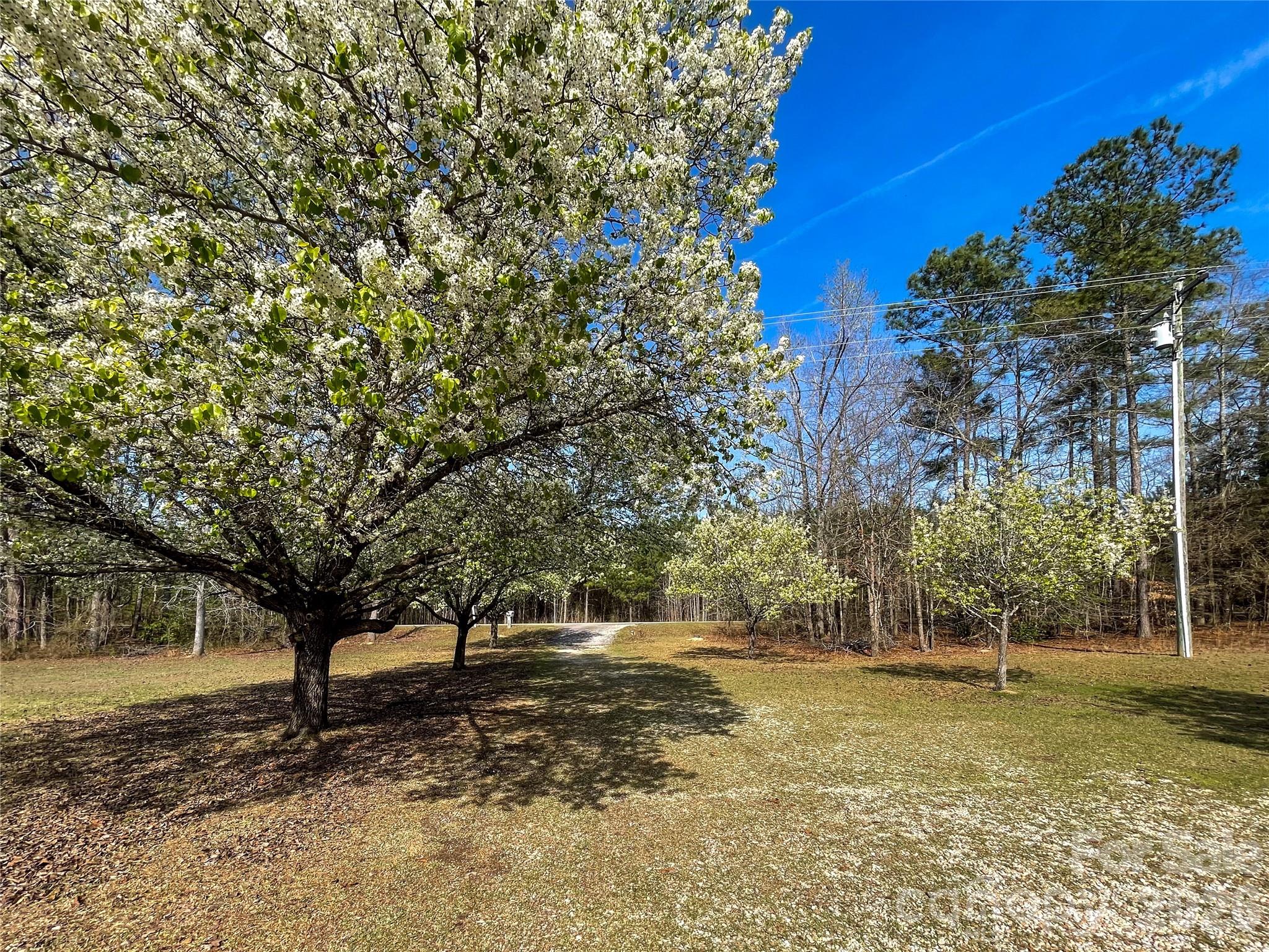 3271 Ebenezer Church Road Camden, SC 29020 - Photo 12 of 40