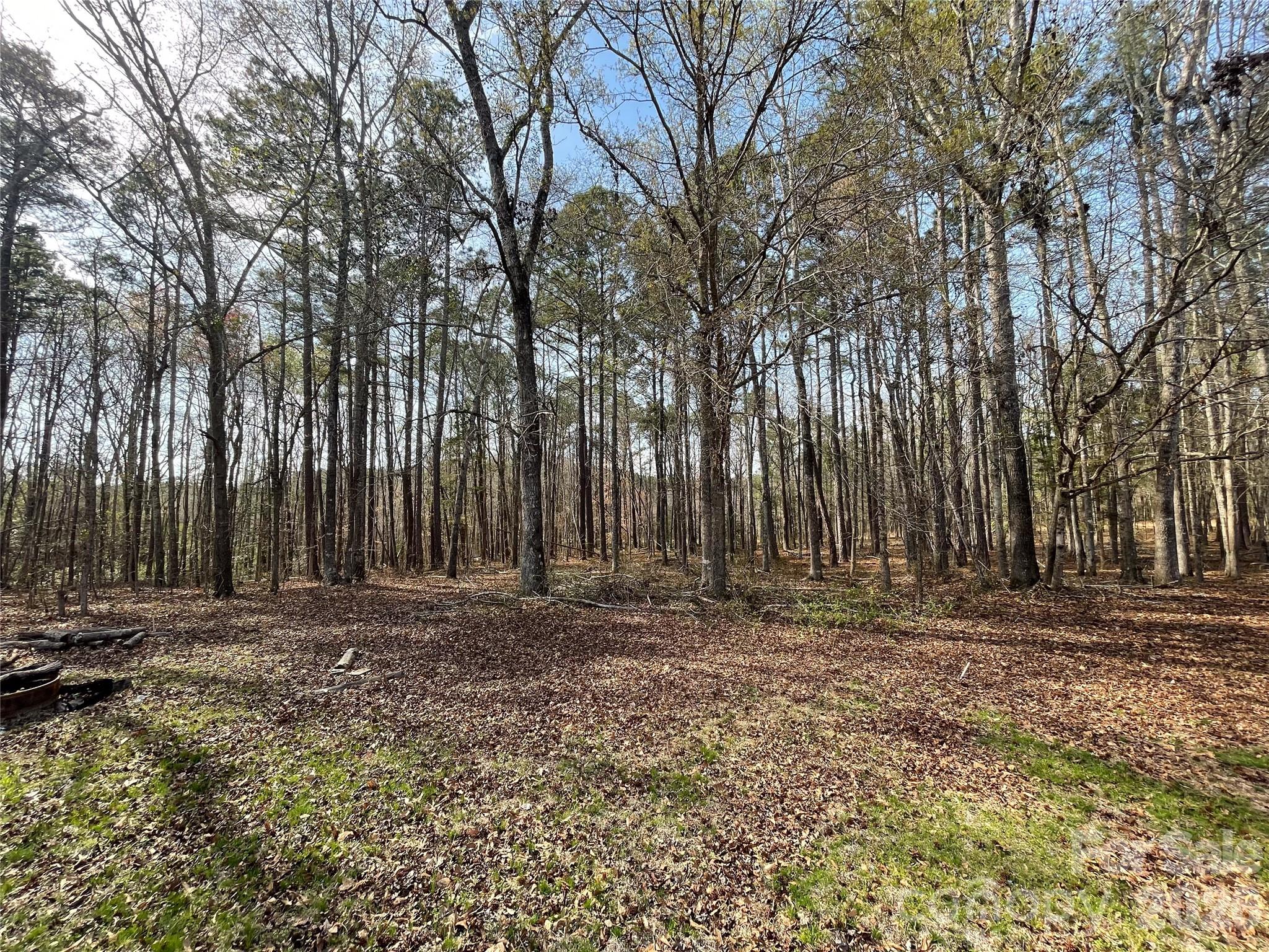 3271 Ebenezer Church Road Camden, SC 29020 - Photo 14 of 40