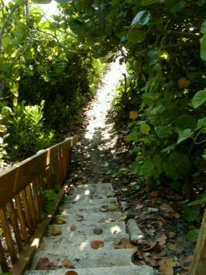 949 Northeast 24th Street Boca Raton, FL 33431 - Photo 13 of 15 Additional Photo
