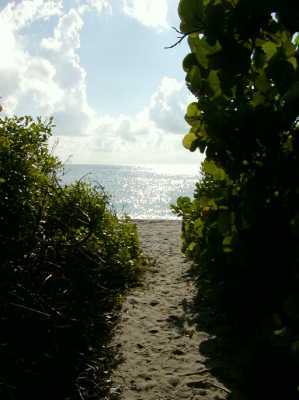 949 Northeast 24th Street Boca Raton, FL 33431 - Photo 14 of 15 Additional Photo