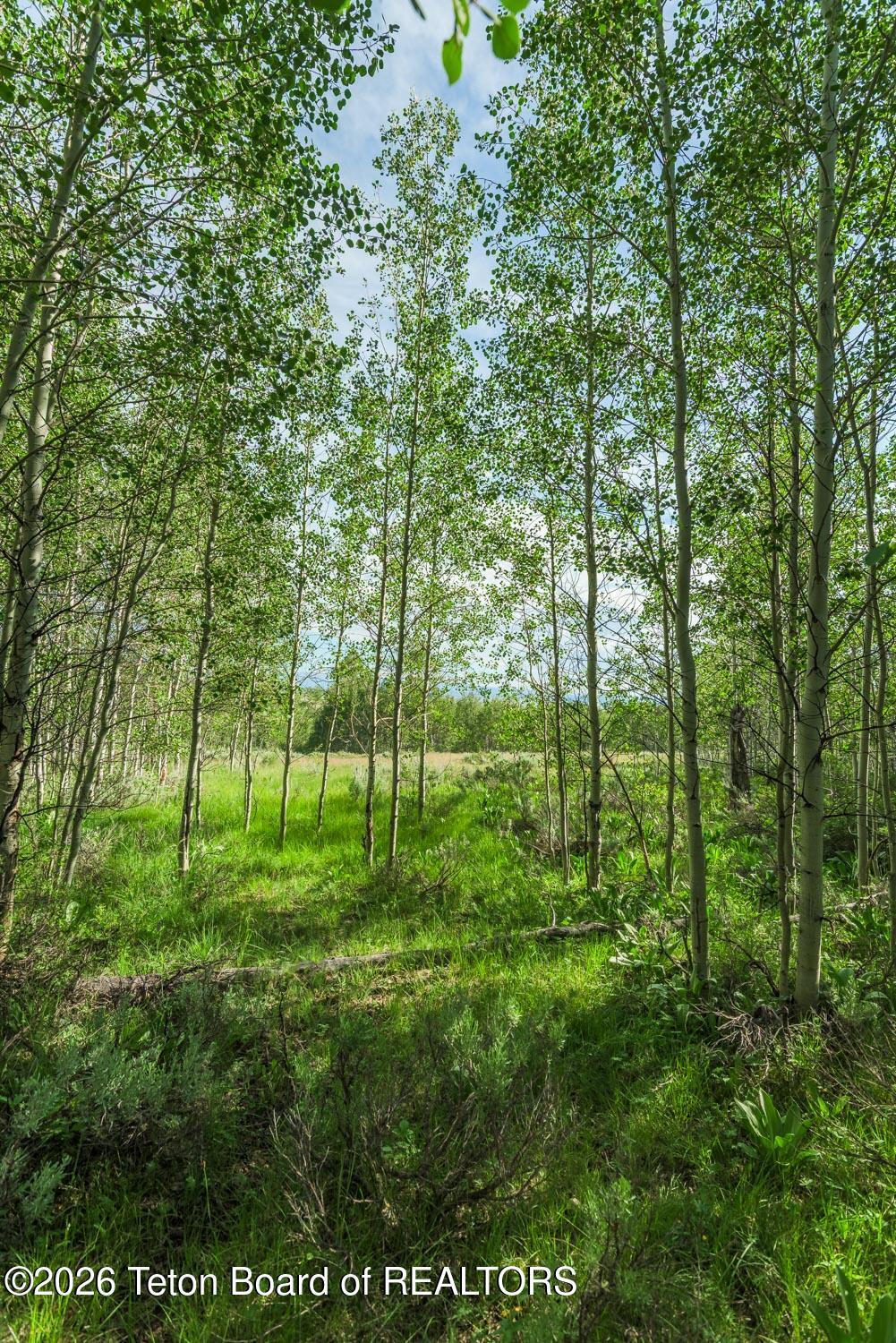 14 Spring Hollow Road Daniel, WY 83115 - Photo 19 of 47 DSC_5461-HDR