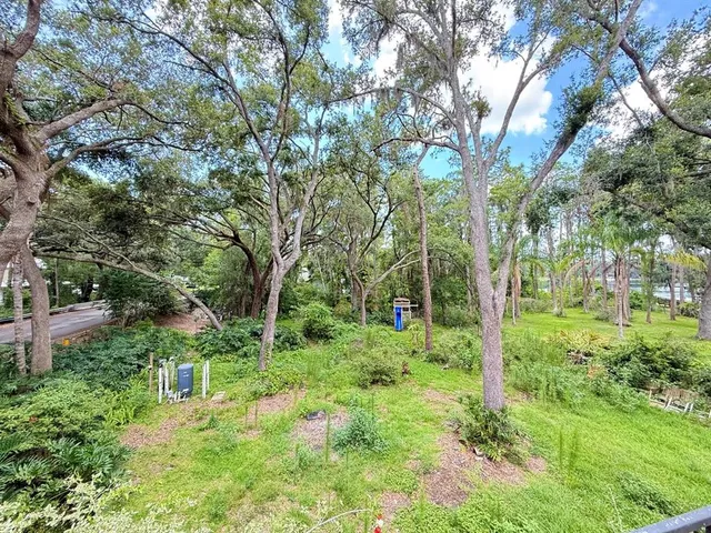a green field with lots of trees