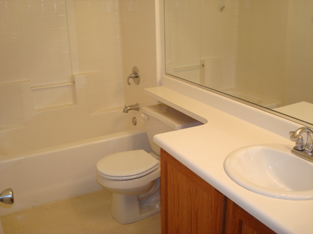 1417 East Bloch Road Phoenix, AZ 85040 - Photo 15 of 23 Main Bathroom