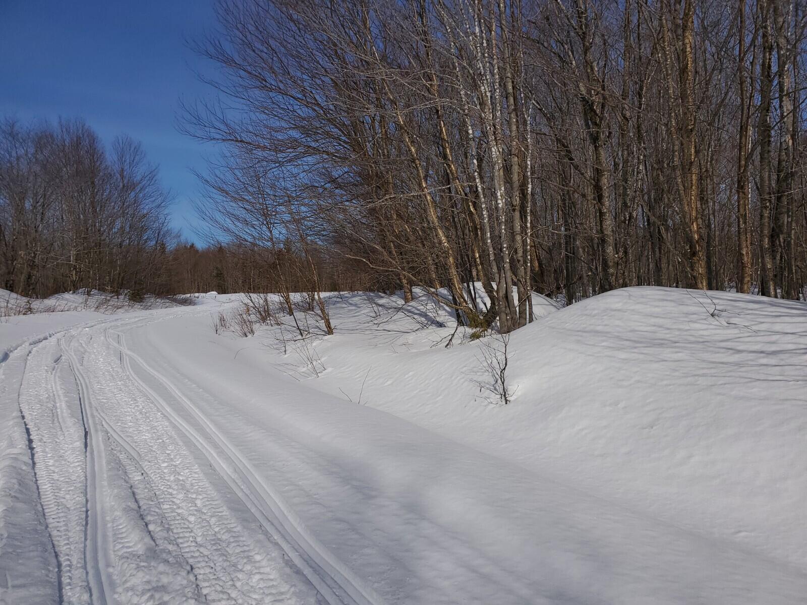 Lot B Fire Road Linneus, ME 04730 - Photo 11 of 11 20210310_090723