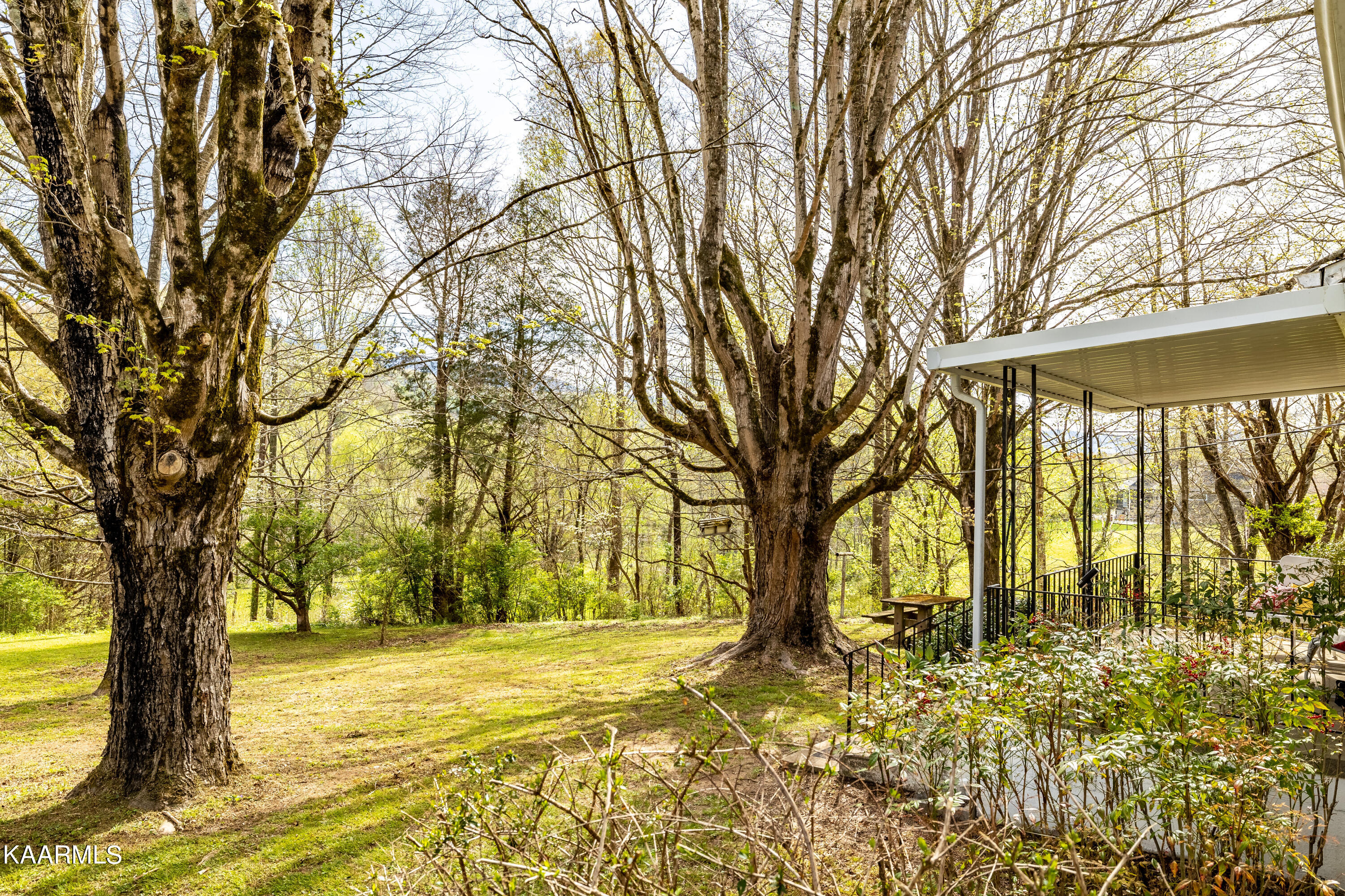 220 Webb Road Townsend, TN 37882 - Photo 8 of 59 Tennessee Home