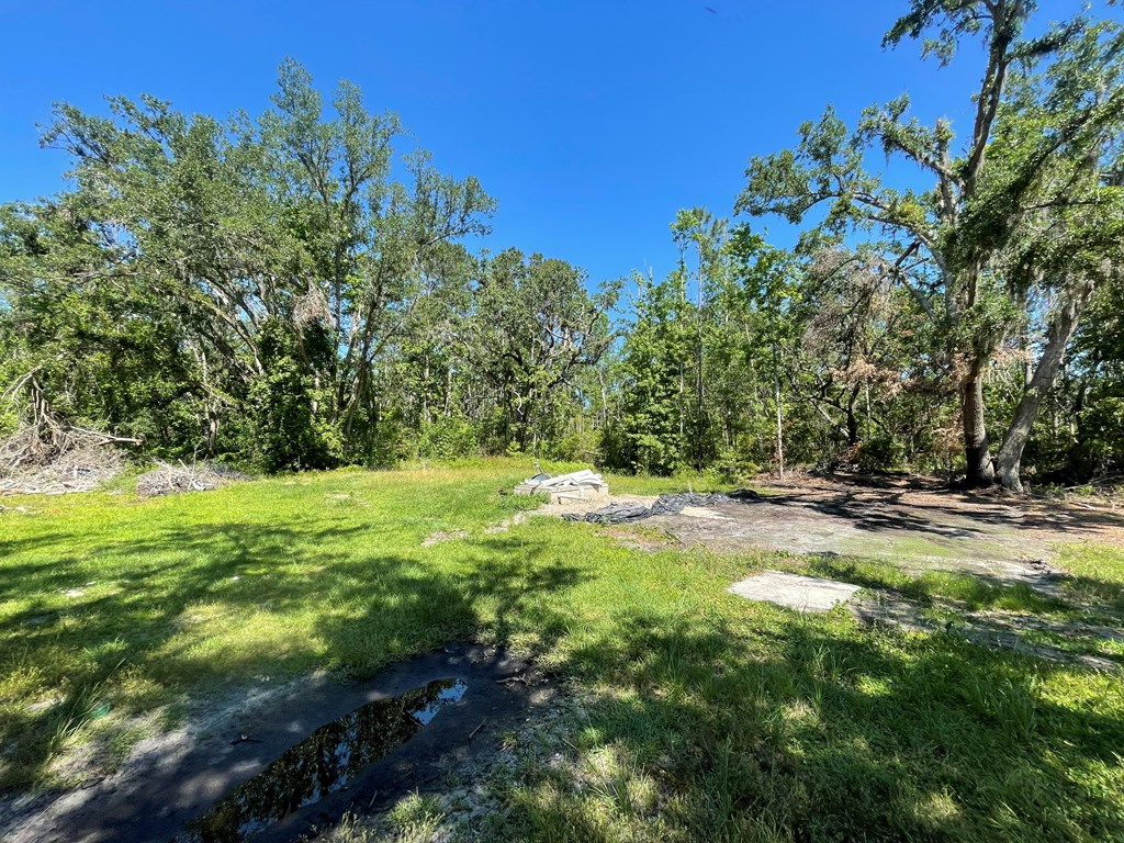 3824 Grover Hicks Road Valdosta, GA 31606 - Photo 3 of 7 Gallery Image 3