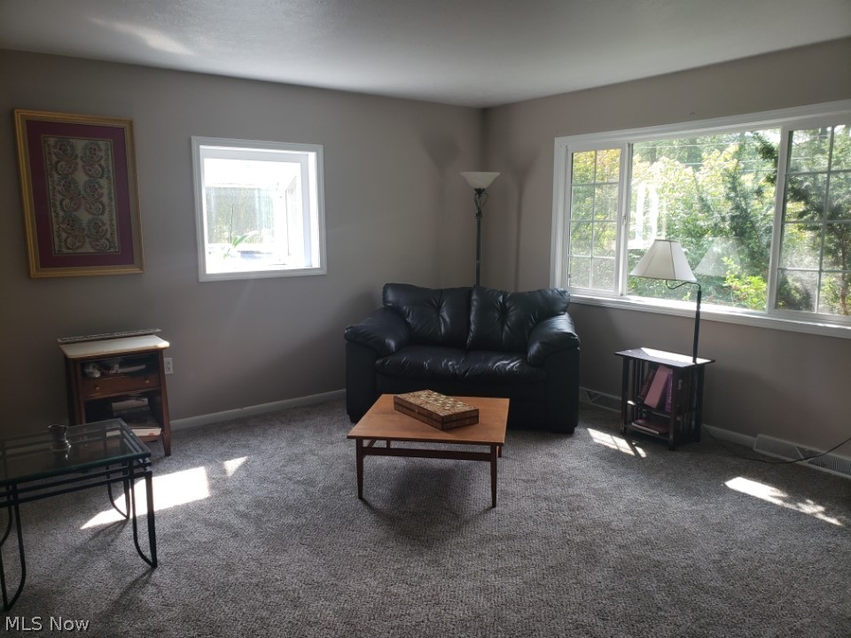 4144 Austin Road Geneva, OH 44041 - Photo 8 of 24 Gallery Image 8