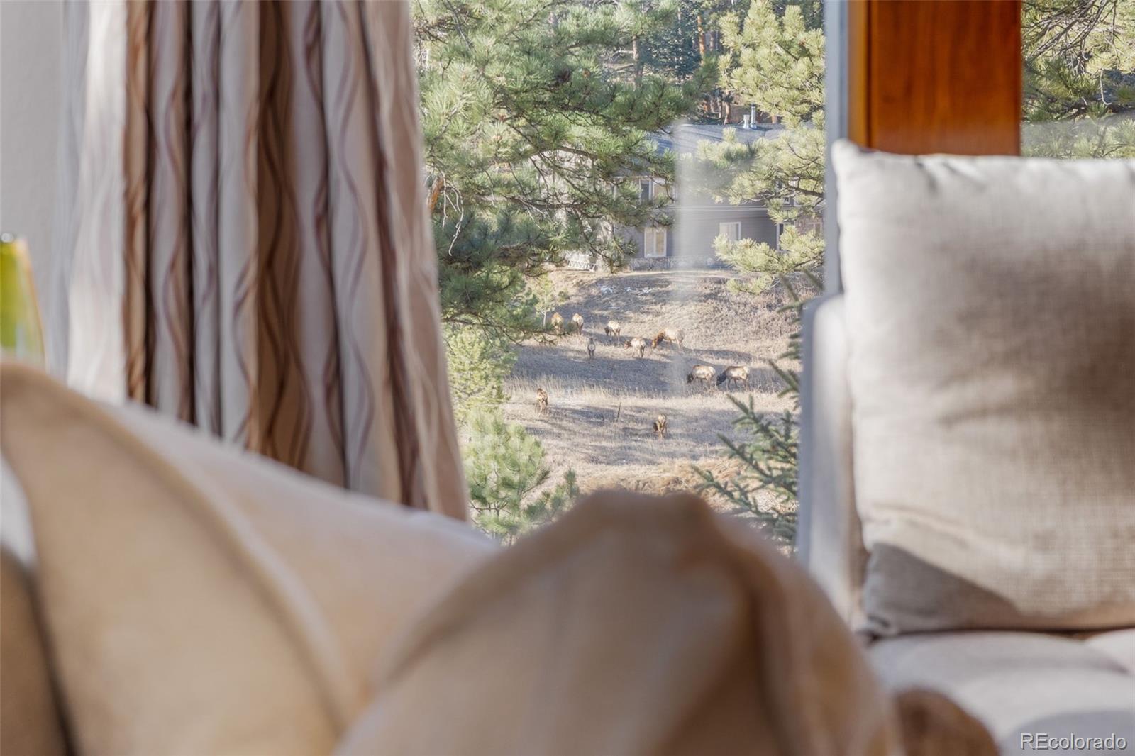 2122 Cramner Court Evergreen, CO 80439 - Photo 7 of 50