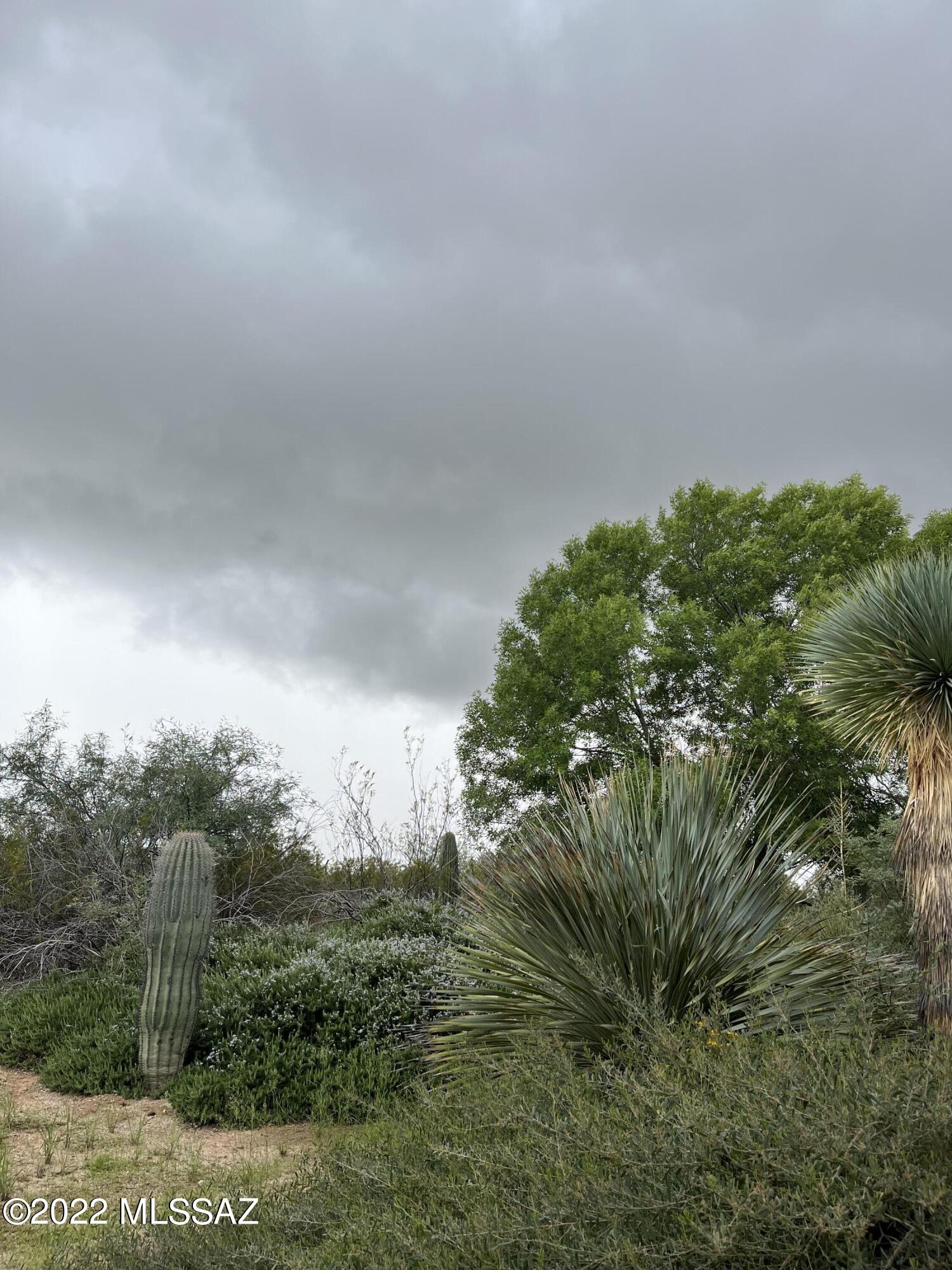 172 North Rustic Ridge Place, Unit 35 Sahuarita, AZ 85629 - Photo 9 of 14