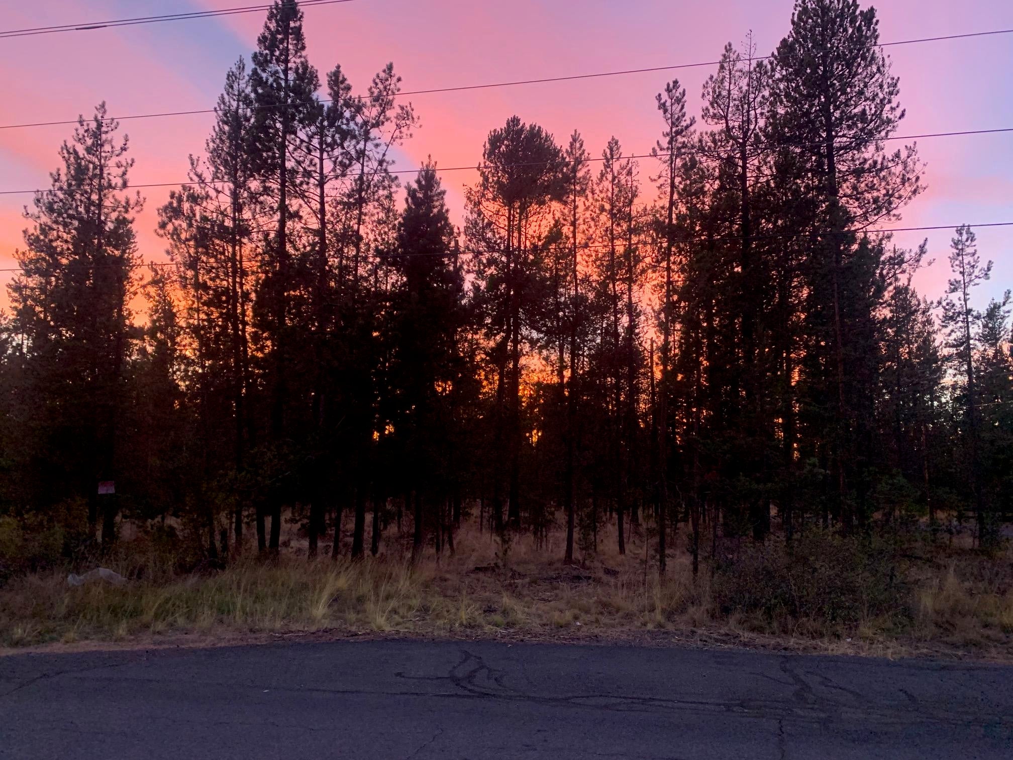 55765 Snow Goose Road Bend, OR 97707 - Photo 3 of 5 IMG_2122