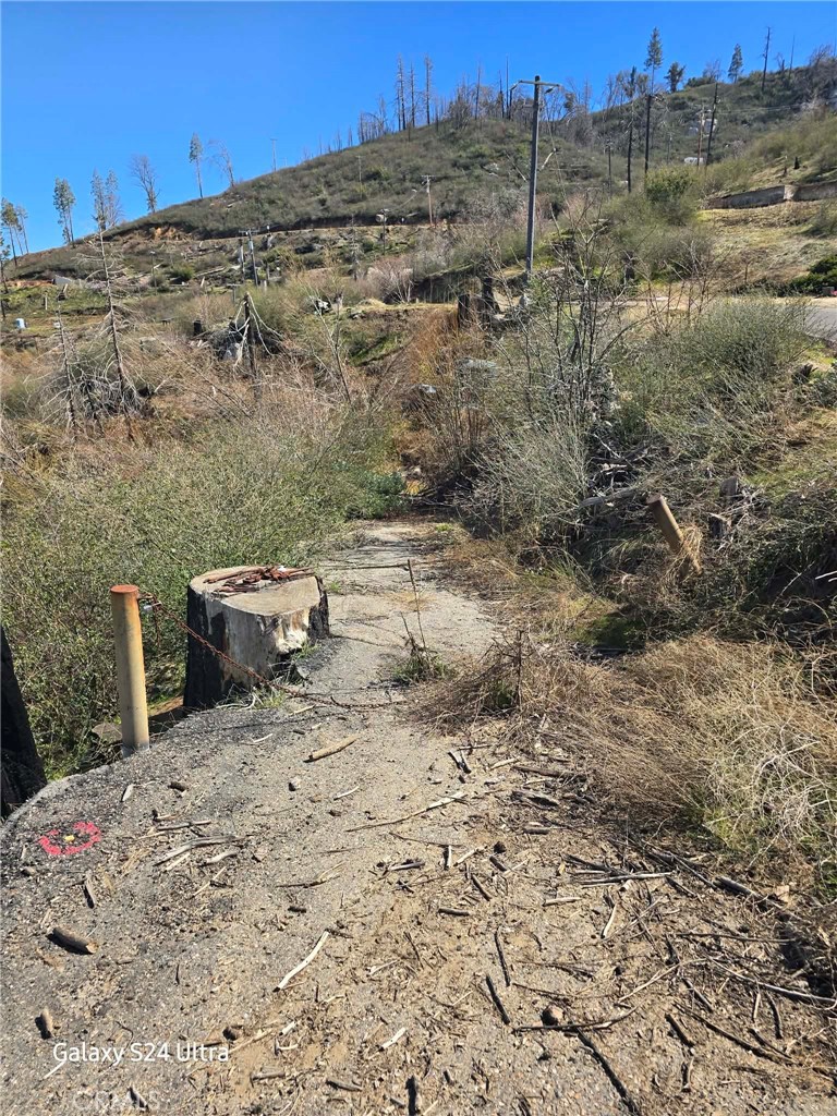 43846 Schubert Road Auberry, CA 93602 - Photo 2 of 10 a view of a dry yard with trees