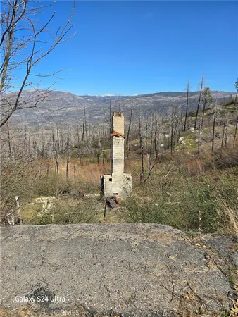 a view of a yard with trees