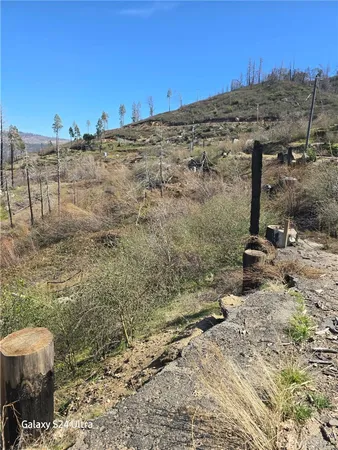 a view of a yard with wooden fence