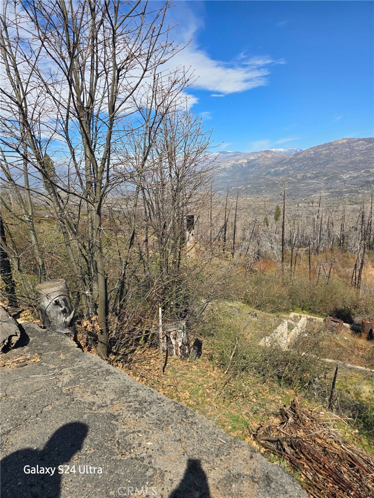 43846 Schubert Road Auberry, CA 93602 - Photo 6 of 10 a view of a yard with trees