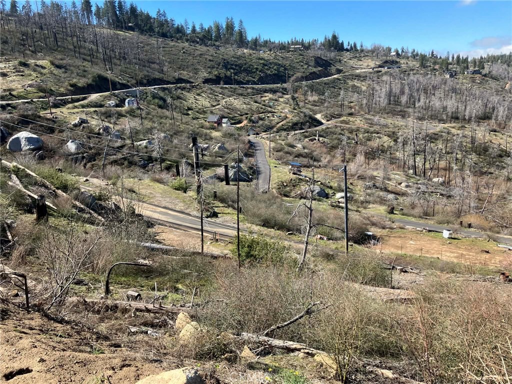 43846 Schubert Road Auberry, CA 93602 - Photo 8 of 10 a view of a forest with a road