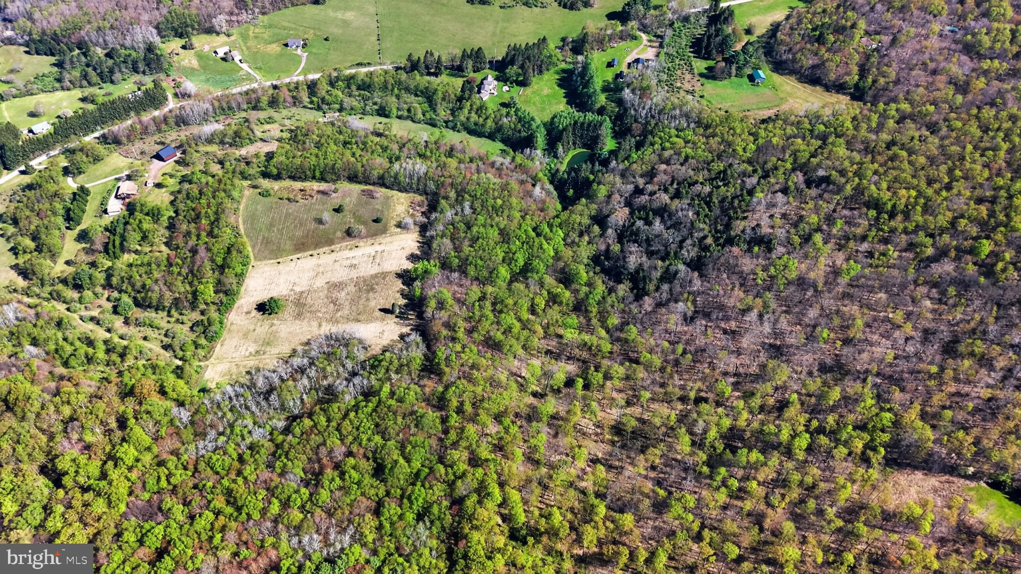 259 A A-Frame Road Coudersport, PA 16915 - Photo 85 of 130 Nature's Palette: Forest Meets Field