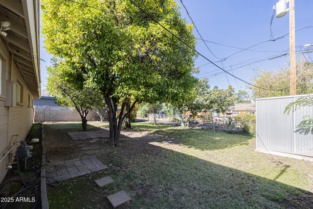 a view of a yard with plants and trees