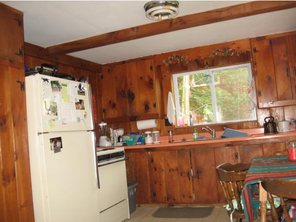 448 Wulamat Road Bristol, NH 03222 - Photo 4 of 14