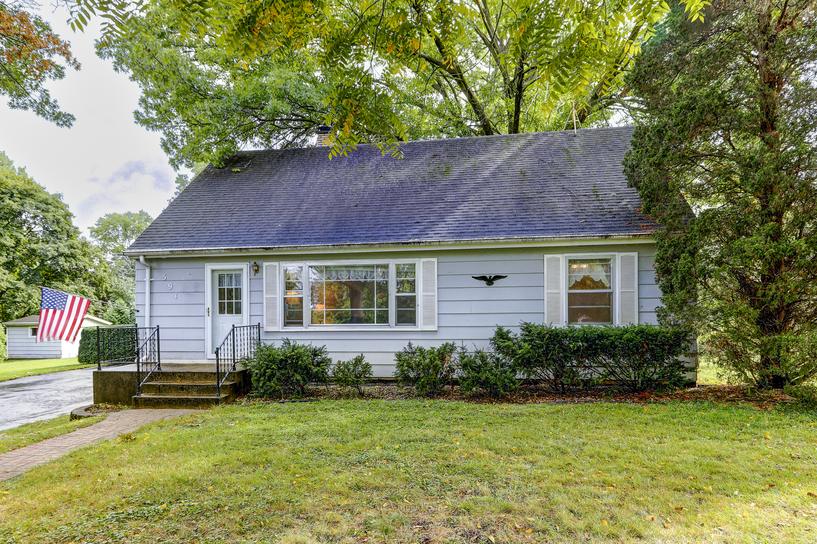 591 Riedy Road Lisle, IL 60532 - Photo 2 of 37 a view of a house with a yard plants and large tree