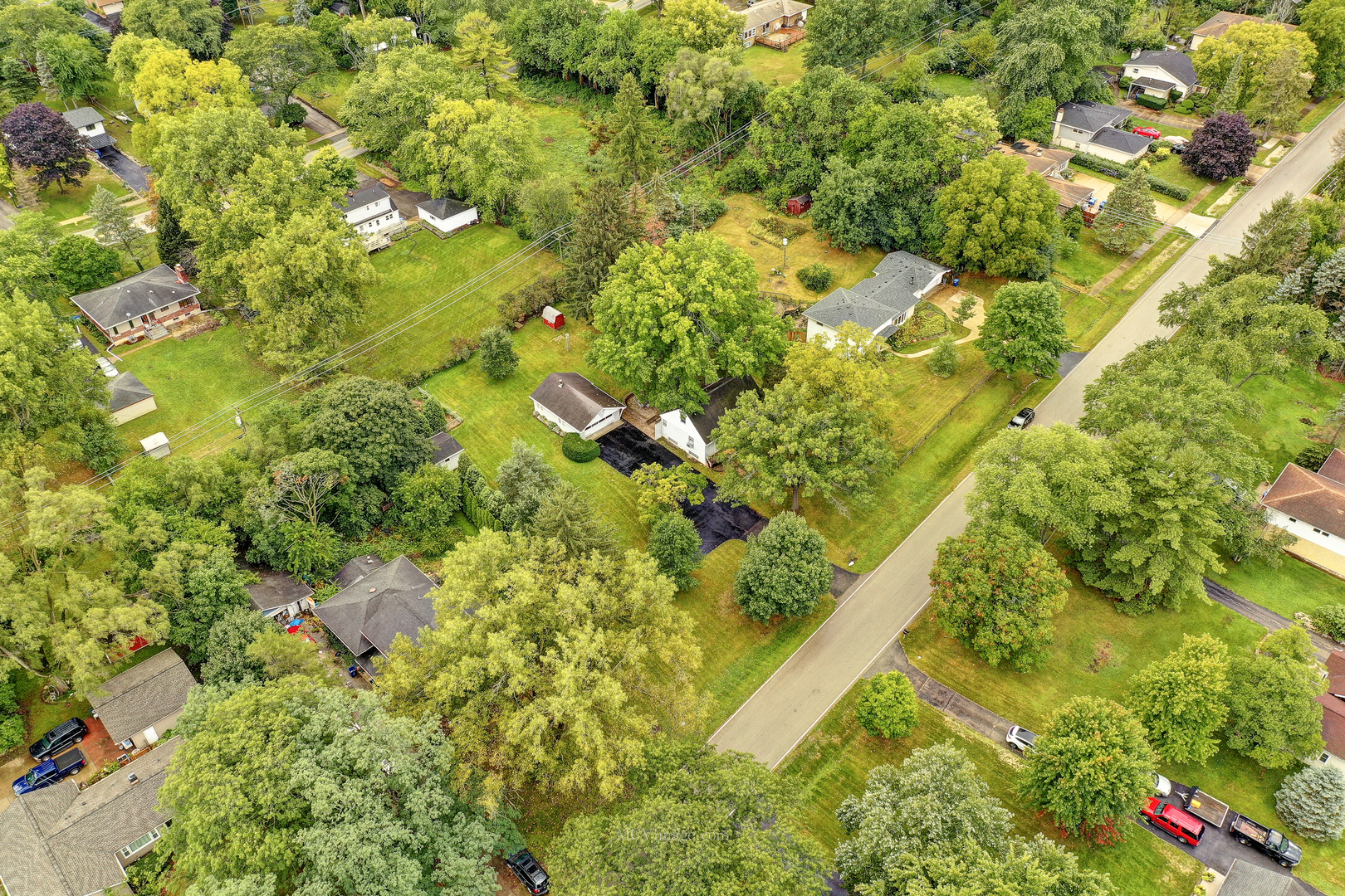 591 Riedy Road Lisle, IL 60532 - Photo 25 of 37 a view of a yard with flower plants