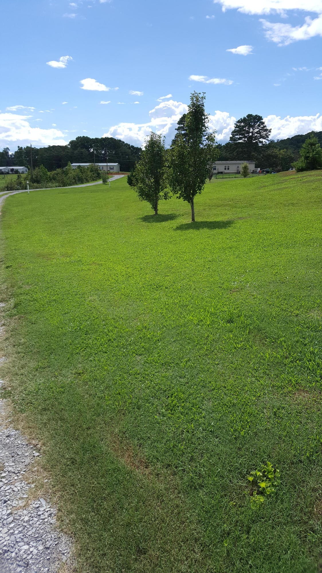 3 Co Road Niota, TN 37826 - Photo 2 of 3