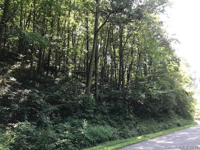 Lot 1 George Sutton Road Waynesville, NC 28785 - Photo 1 of 28 a view of forest