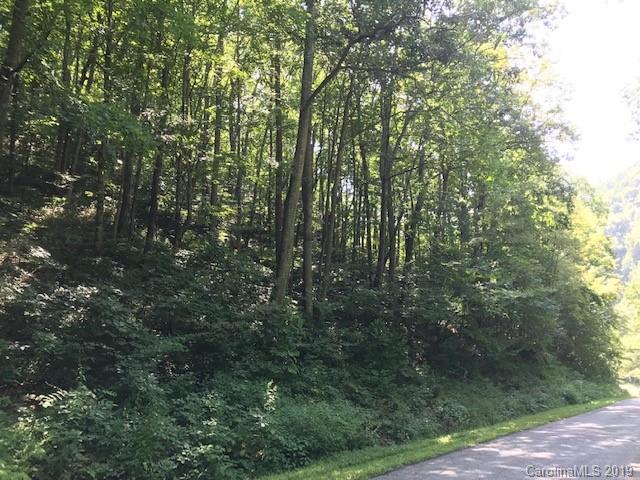 Lot 1 George Sutton Road Waynesville, NC 28785 - Photo 12 of 28 a view of forest