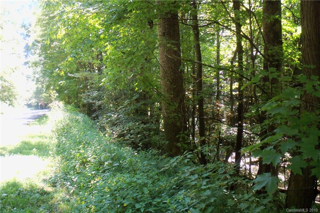 Lot 1 George Sutton Road Waynesville, NC 28785 - Photo 14 of 28