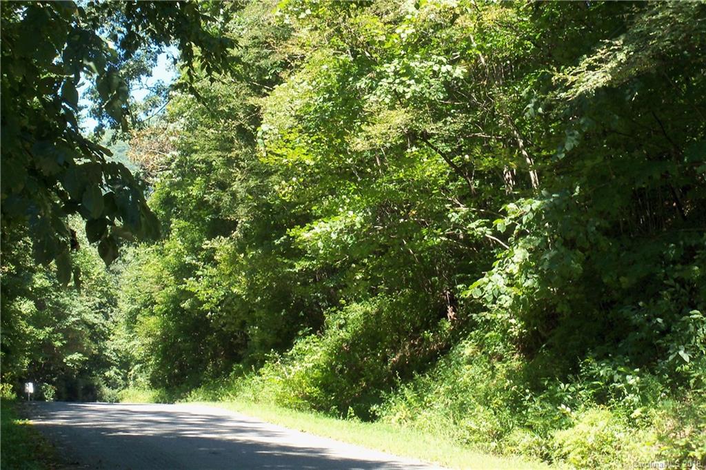 Lot 1 George Sutton Road Waynesville, NC 28785 - Photo 16 of 28 a view of a yard