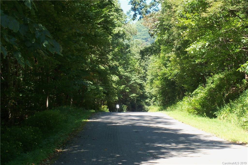 Lot 1 George Sutton Road Waynesville, NC 28785 - Photo 17 of 28 a view of yard with tree