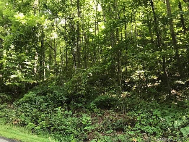 Lot 1 George Sutton Road Waynesville, NC 28785 - Photo 3 of 28 a view of a lush green forest