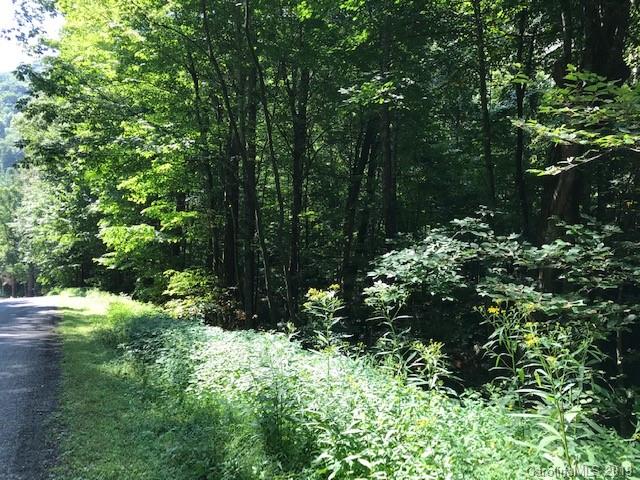 Lot 1 George Sutton Road Waynesville, NC 28785 - Photo 21 of 28 a view of a garden