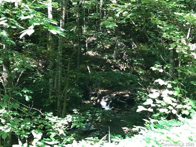 Lot 1 George Sutton Road Waynesville, NC 28785 - Photo 22 of 28 a view of tree
