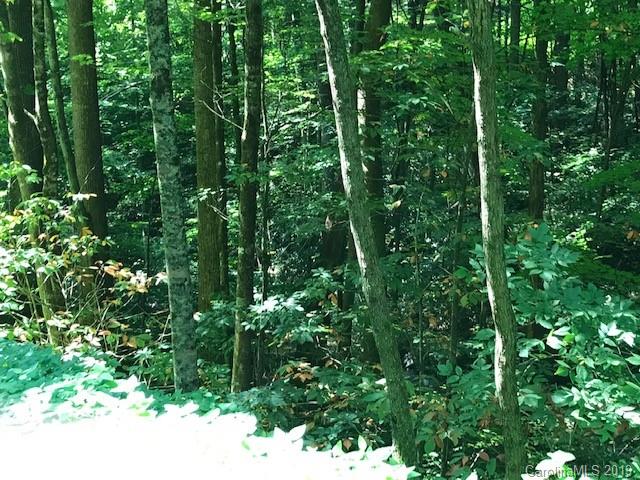 Lot 1 George Sutton Road Waynesville, NC 28785 - Photo 23 of 28 a view of forest