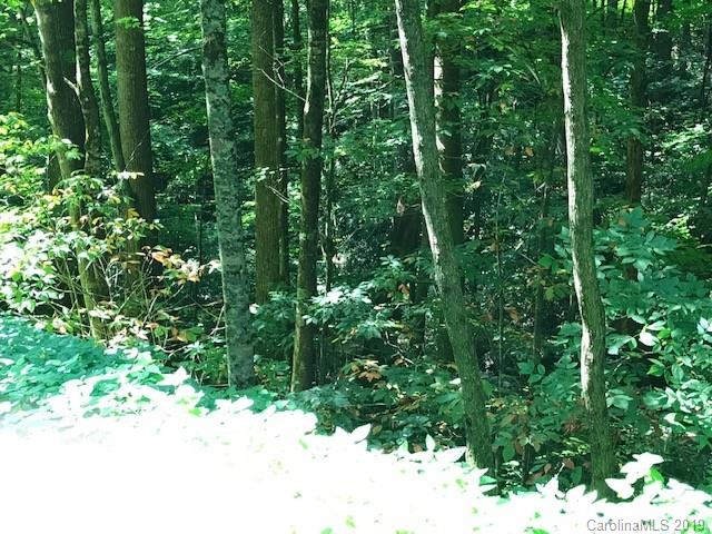 Lot 1 George Sutton Road Waynesville, NC 28785 - Photo 24 of 28 a view of a yard with plants and tree