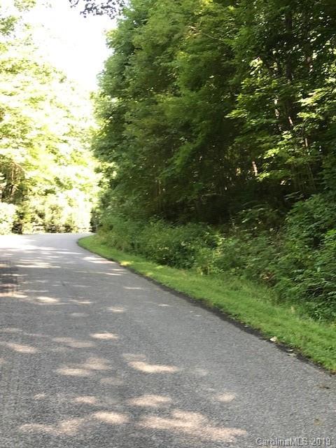 Lot 1 George Sutton Road Waynesville, NC 28785 - Photo 26 of 28 a view of a yard with plants and large trees