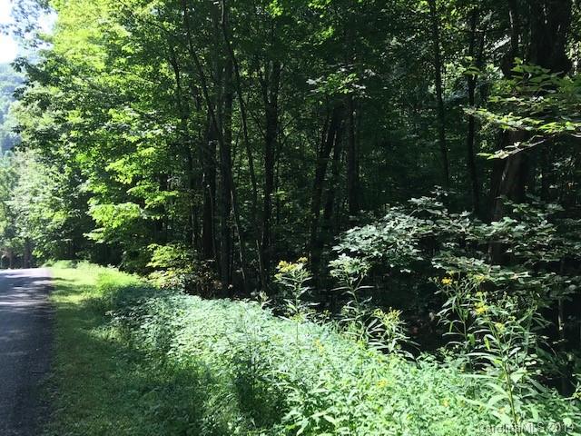 Lot 1 George Sutton Road Waynesville, NC 28785 - Photo 27 of 28 a view of a garden