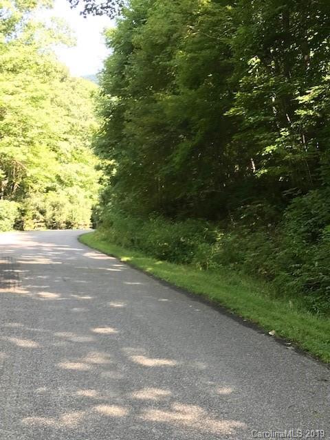 Lot 1 George Sutton Road Waynesville, NC 28785 - Photo 28 of 28 a view of a yard with plants and large trees