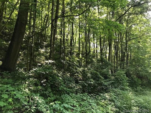 Lot 1 George Sutton Road Waynesville, NC 28785 - Photo 8 of 28 a view of a lush green forest
