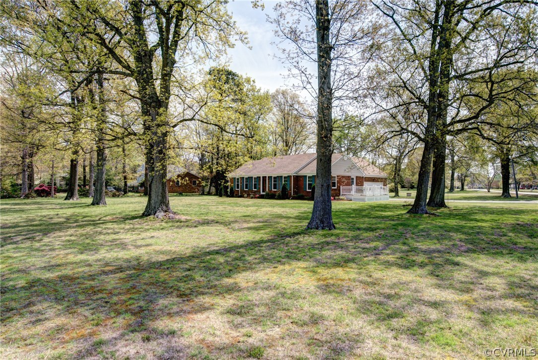 a view of a yard with tree s
