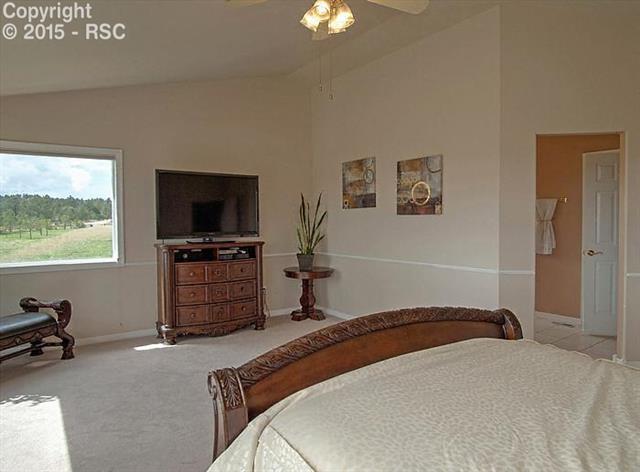 951 Forest View Road Monument, CO 80132 - Photo 19 of 29