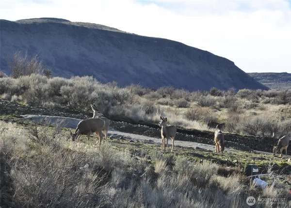 $110,000 | 45635 FDR Estates Drive, Grand Coulee, WA 99133