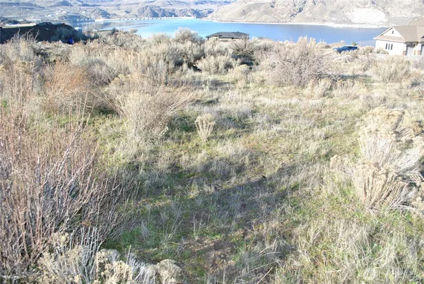 $110,000 | 45635 FDR Estates Drive, Grand Coulee, WA 99133