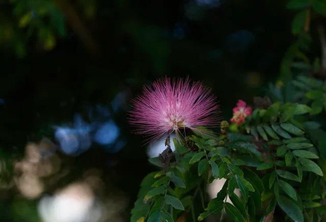 $3,490 | 6595 Parkview Drive, Unit F, Boca Raton, FL 33433