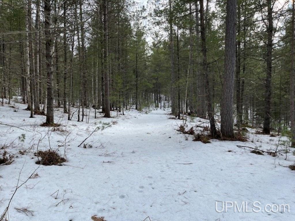Lot 7 Powell Lake Road Wetmore, MI 49895 - Photo 8 of 16