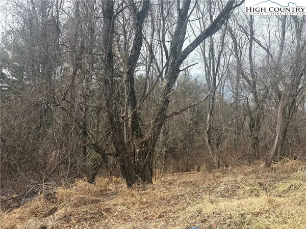 $20,000 | 5 K River Run Lane, Sparta, NC 28675