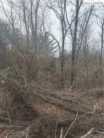 a backyard of a house with lots of trees