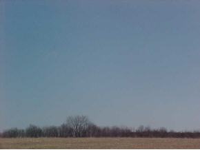 260 Edwards Hill Road Lisle, NY 13797 - Photo 5 of 6 Gallery Image 5