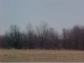 260 Edwards Hill Road Lisle, NY 13797 - Photo 6 of 6 Gallery Image 6
